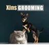 xinsgrooming